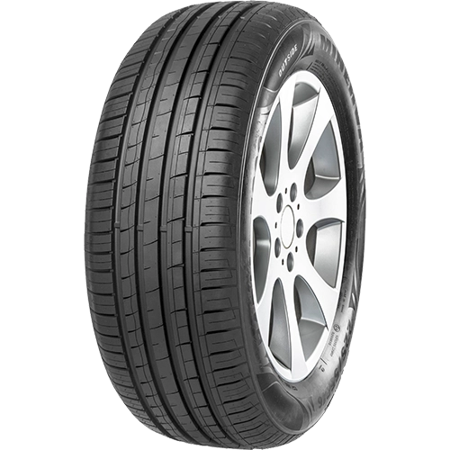 لاستیک مینروا 205/55R16 گل F209