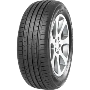 لاستیک مینروا 205/60R16 طرح گل F209